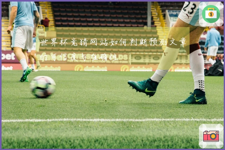 世界杯竞猜网站如何判断预测文章的可信度与准确性