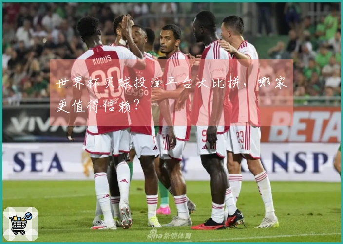 世界杯买球投注平台大比拼，哪家更值得信赖？