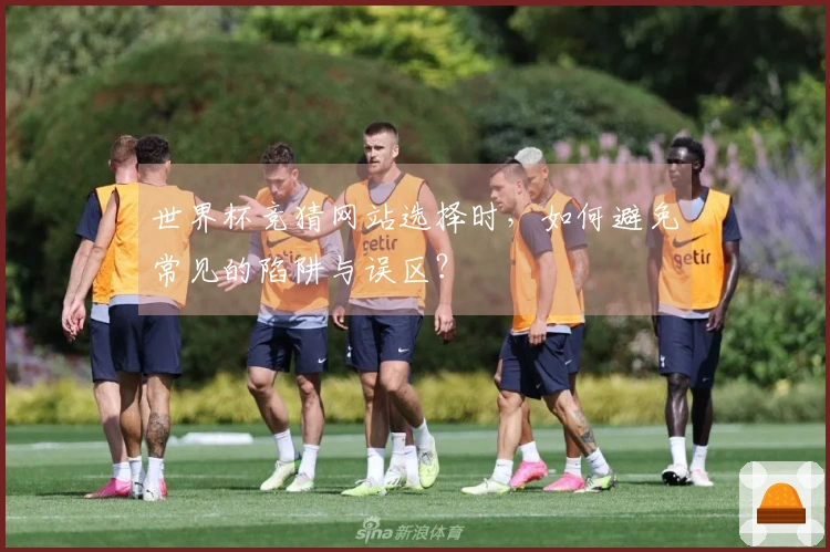 世界杯竞猜网站选择时，如何避免常见的陷阱与误区？